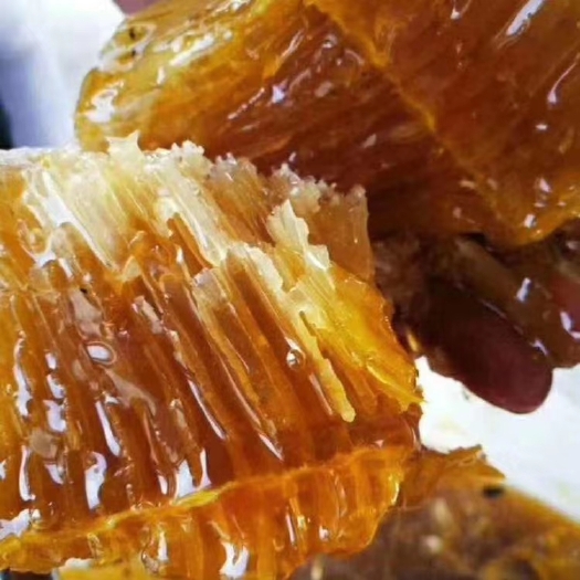 嵩明县 正宗冬蜜，