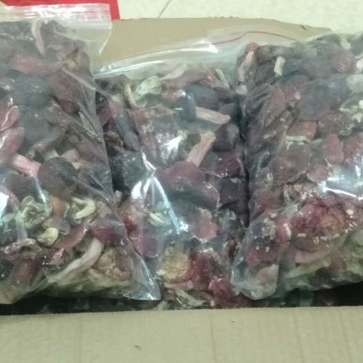 云霄县 福建云霄大森林正红菇