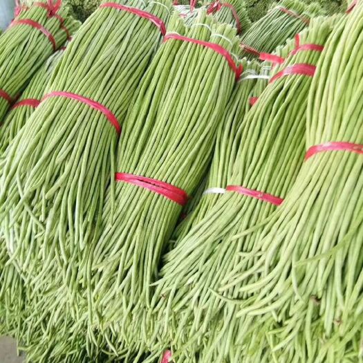 兰陵县 精品长豆角，产量大，质量稳定