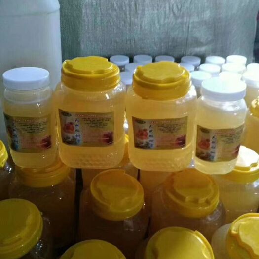 铁力市 东北新椴树蜜