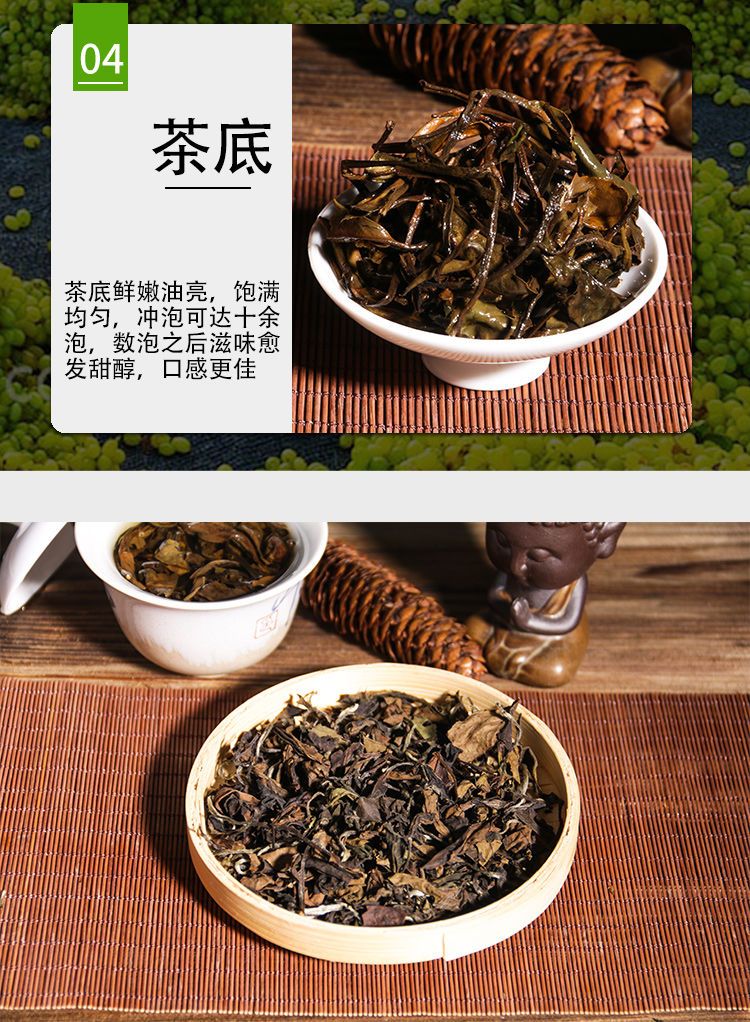 2015年福鼎的白茶枣香贡眉散装日晒贡眉茶叶批发礼盒装