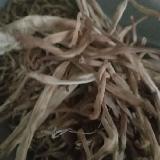 慈利县七蕊黄花菜