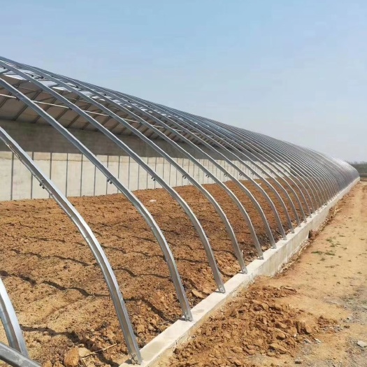 泊头市种植大棚 温室大棚及大棚配件