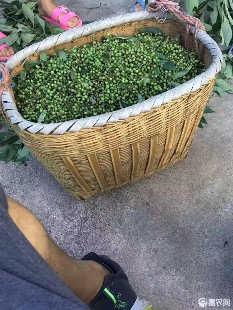 赣州山胡椒 大量木姜子，需要的联系赣州地区！