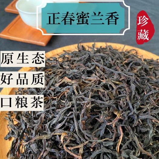 饶平县凤凰单枞 天池潮州凤凰山高山锯朵仔鸭屎香蜜兰香乌龙单枞茶乌岽特级水仙茶