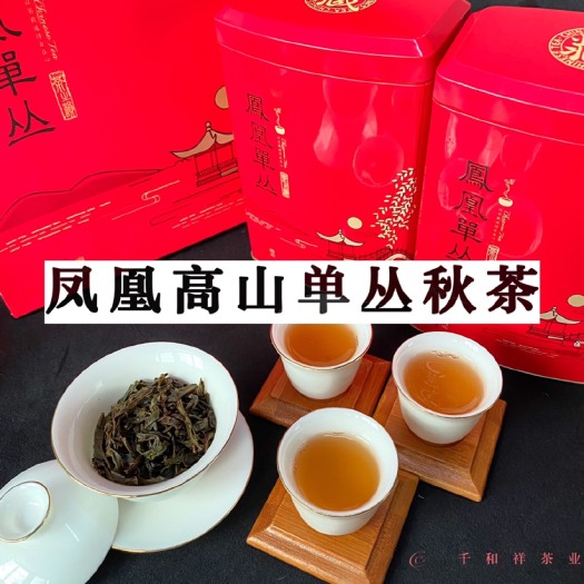 饶平县单丛茶  天池潮州凤凰山高山锯朵仔鸭屎香蜜兰香乌龙单枞茶乌岽特级水仙茶