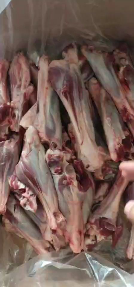 阿旗羊前后棒 羊前后腱