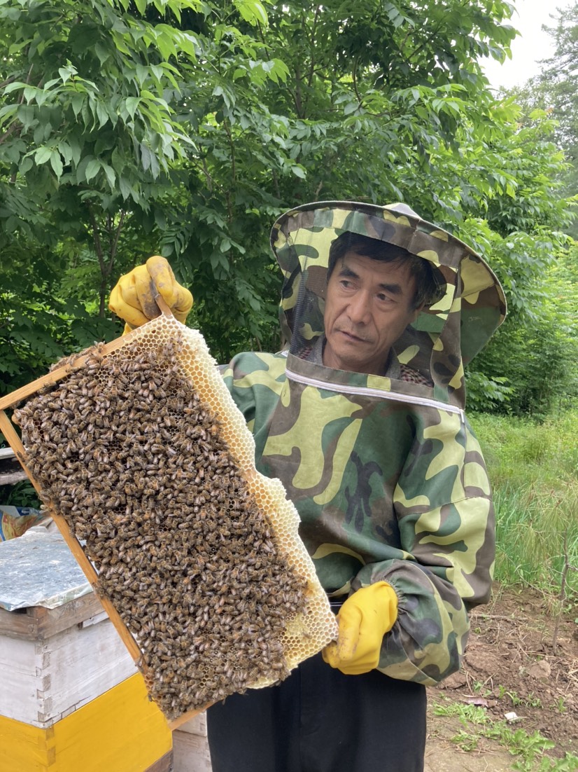 抚松县 蜂蜜东北锻树蜜百花蜜蜂场直销可用
