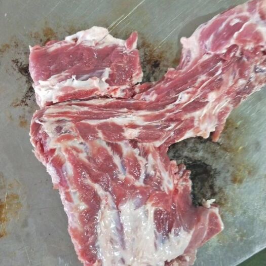 晋江市猪排骨 排骨颈排大骨棒骨