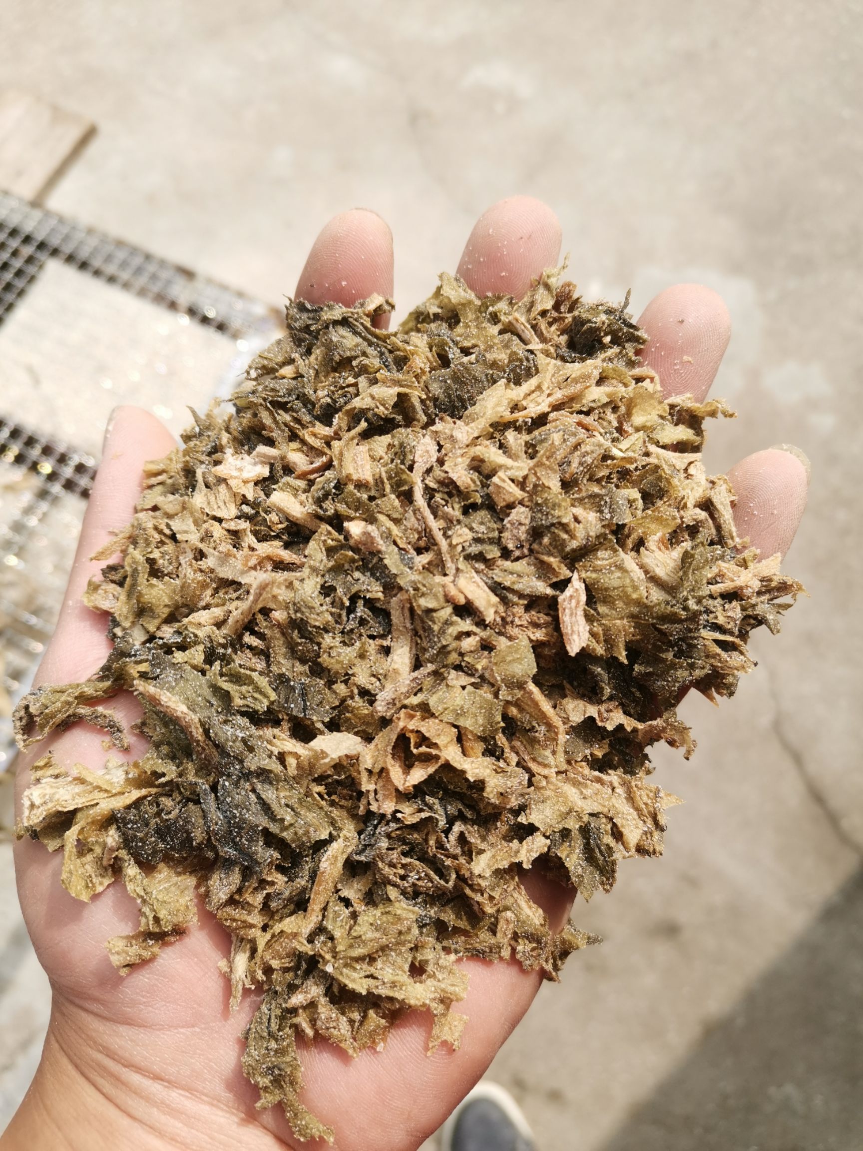 梅干菜 老绍兴农家自制切段梅干菜