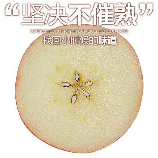 临猗县 山西运城临猗坡上苹果成熟了，不打蜡，不催熟，欢迎各位购买品