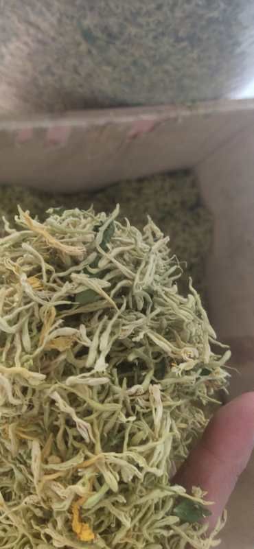 秦岭高山金银花，家种四季花，百花一号，产地直销，物美价廉。