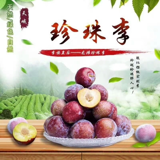 天峨县龙滩珍珠李 广西天峨地标皇后珍珠李清甜脆可口，吃了还想吃