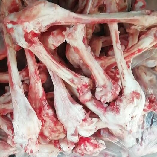 唐县羊骨  新鲜羊棒骨