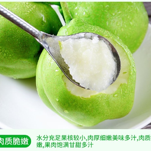 合肥脆香梨 脆季
