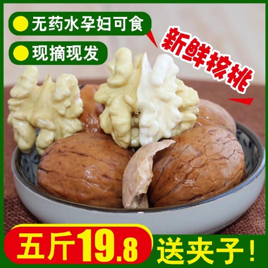 商洛 新鲜核桃湿核桃去青皮现货带青皮鲜核桃绿皮孕妇新货5斤青皮核