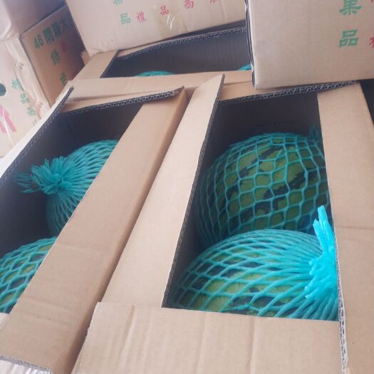 隆化县 麒麟瓜   8424西瓜   大量上市  质量上乘