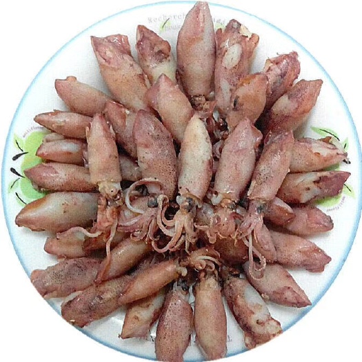 滨州冷冻海兔 小海兔，个个饱满，即食，做汤，炒菜，包水饺。非常美味。