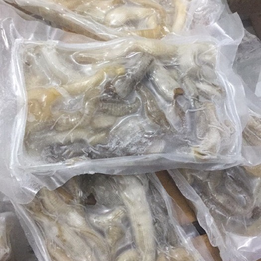 东山县沙虫：具有滋阴润肺，人称海人参
