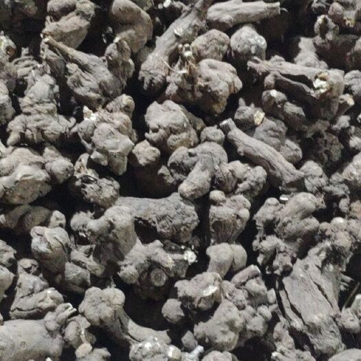 亳州白术个子  无硫统货白术出售，另有一年生白术二十顿欢迎选购