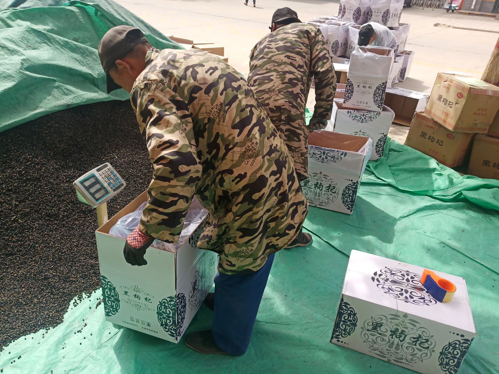黑枸杞新货青海黑枸杞直销批发零售大中小颗粒下色快含花青素
