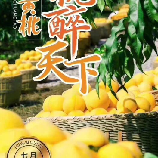 炎陵县炎陵高山锦绣黄桃绿色水果