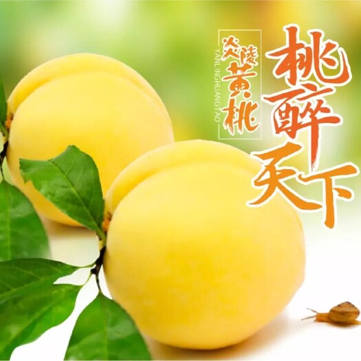 炎陵县炎陵高山锦绣黄桃新鲜水果