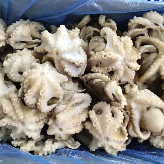济南章鱼  八爪鱼  盐揉三去八爪