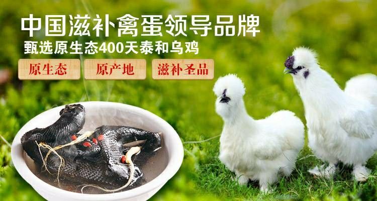 泰和县白羽乌鸡  正宗泰和原种散养乌鸡老母鸡，月子鸡孕、产妇调理药