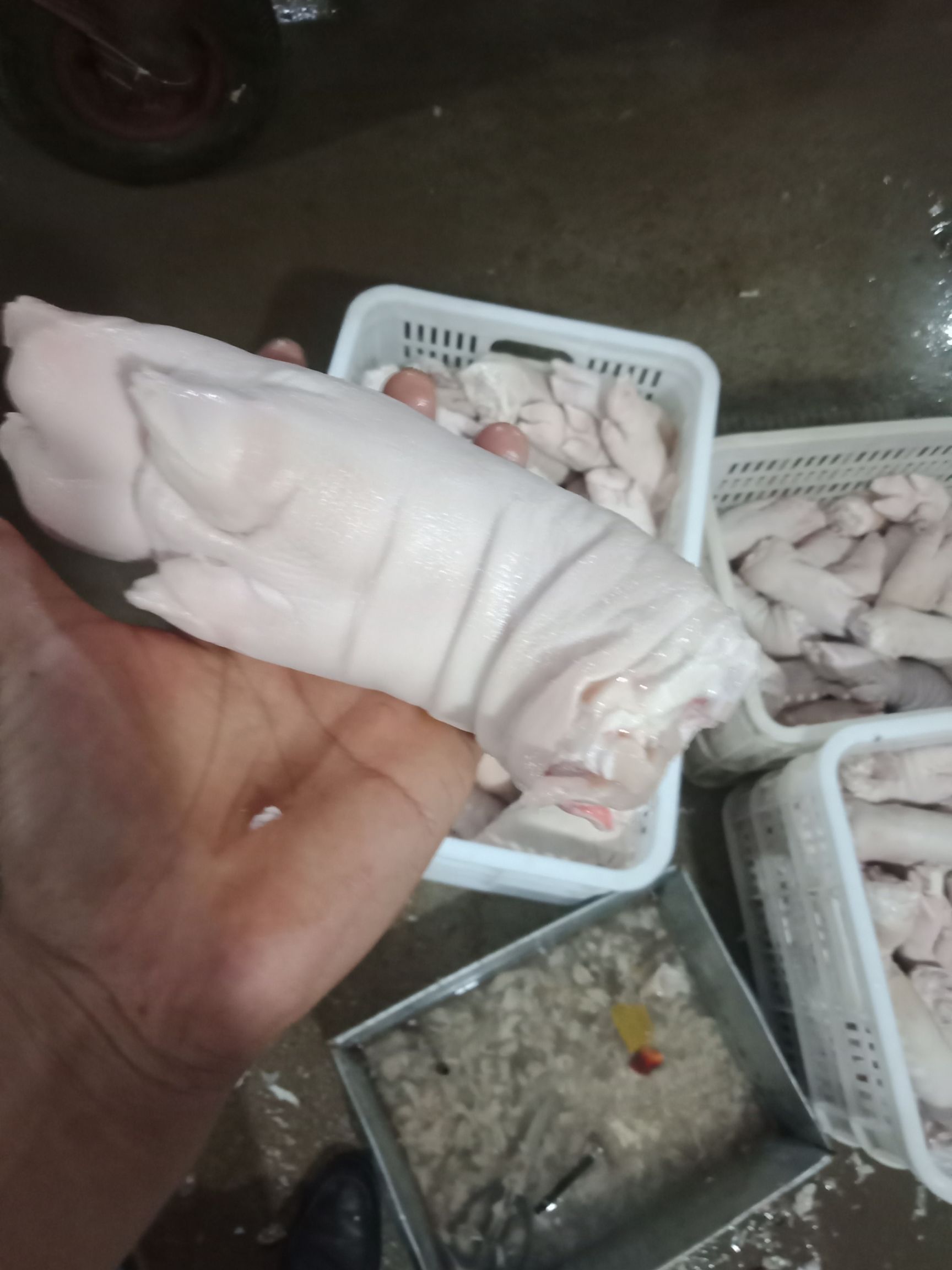 猪蹄 优质带筋前蹄