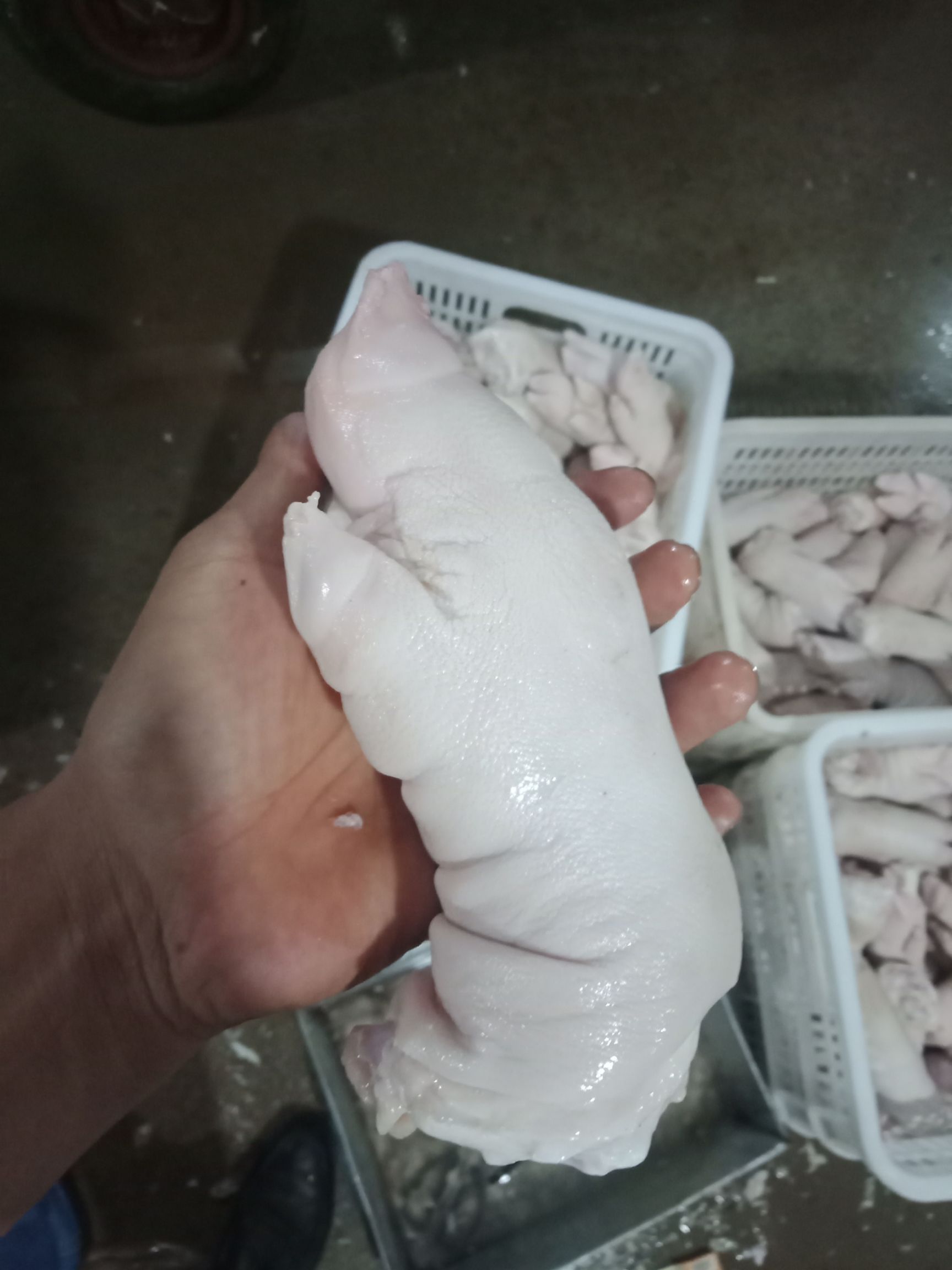 猪蹄 优质带筋前蹄