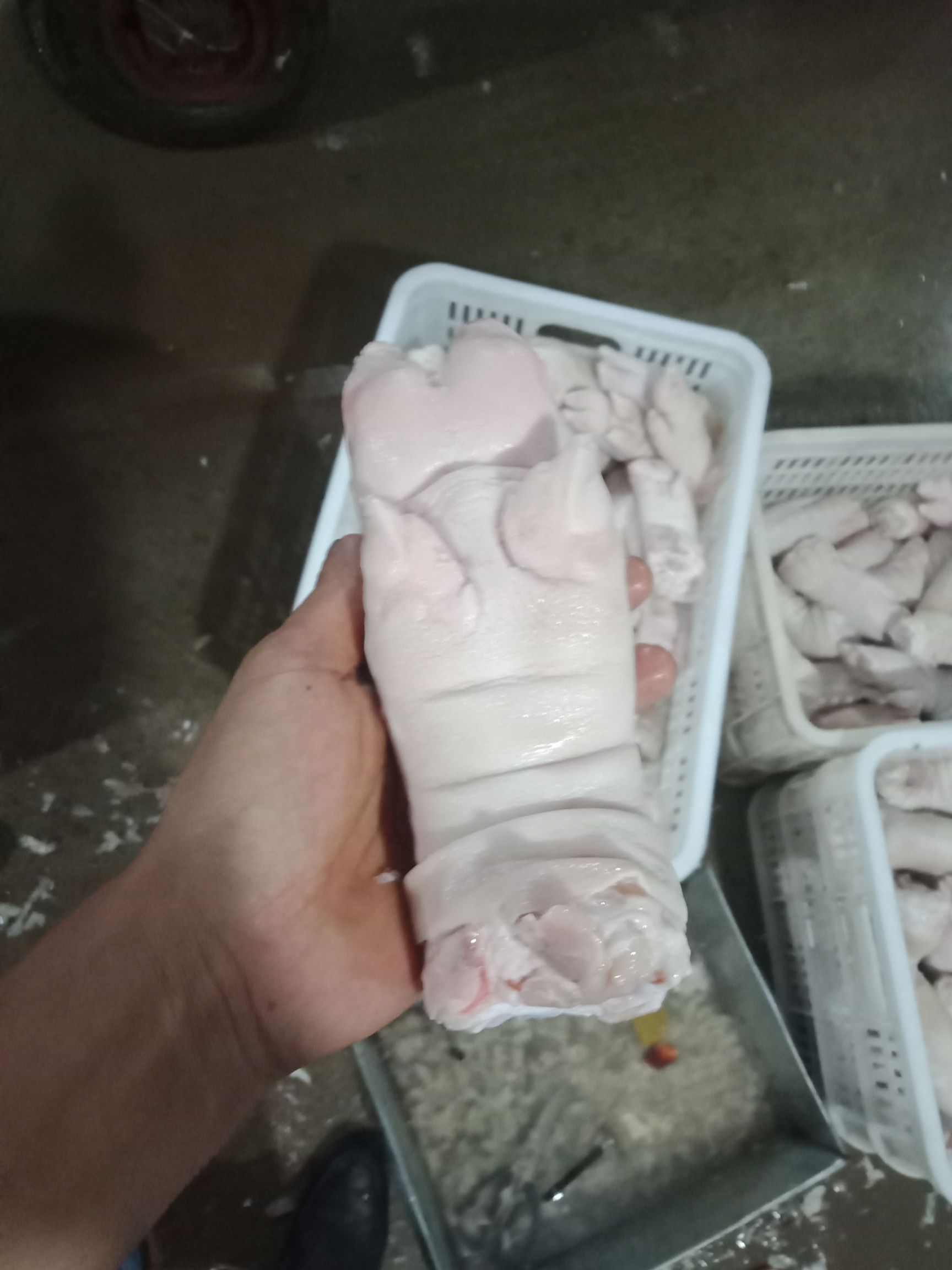 猪蹄 优质带筋前蹄
