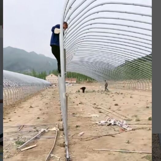 天津蔬菜大棚