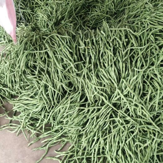 元谋县 豆角量大质优价廉需要的联系我