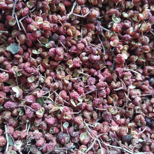 邯郸红花椒带枝干花椒