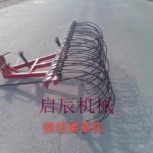 禹城市 弹齿搂草机