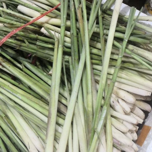 东兴市香茅草 新鲜香茅批发泰国冬阴功配料柠檬草调味品