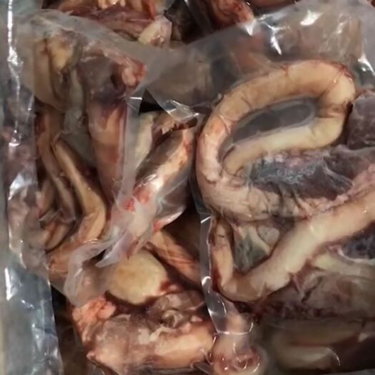 阳信县精品国产牛鞭宝，手续齐全，价格实惠，厂家直销