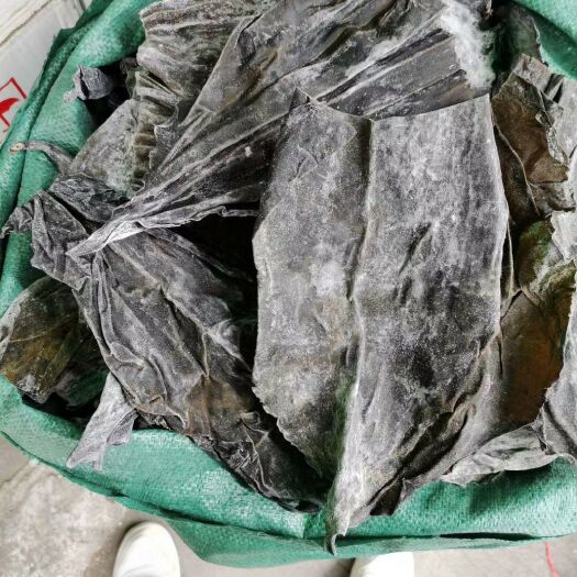成都 全干海带头青秀大张好煮