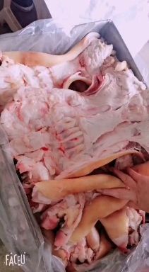 阳信县火烧毛牛，全去牛蹄筋，鲁西黄牛！每天出鲜货全部都是大公牛！