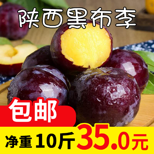 扶风县 现货陕西黑布林李子水果新鲜5斤/10斤黄金肉巨李当季整箱包