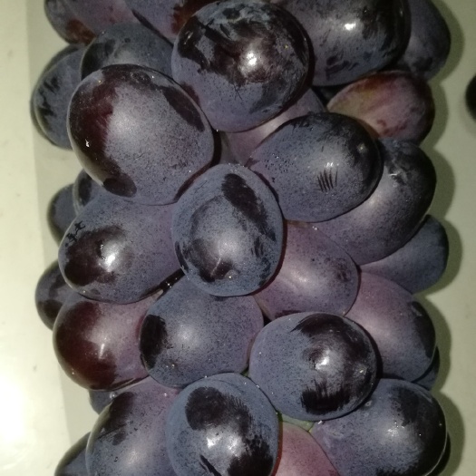 渭南 精品夏黑葡萄