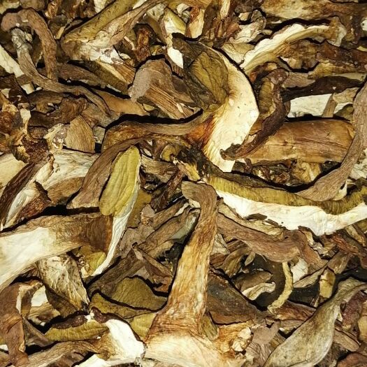 墨江县普通牛肝菌 干牛肝菌