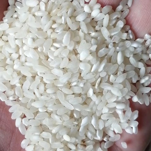 糙米  贵潮专业制作米粉米线米皮米糕米豆腐，等米制品深加工，