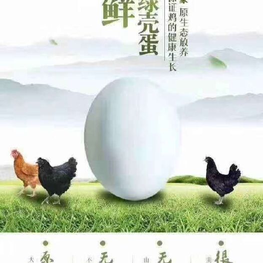 鹰潭天然绿壳土鸡蛋/粉壳土鸡蛋