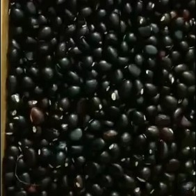 苹婆  大量批发新鲜纯果粒六旺子凤眼果萍婆九层皮富贵子红皮果