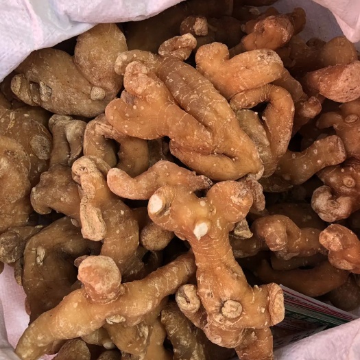 成都 黄精生干片熟片个子鲜货都有