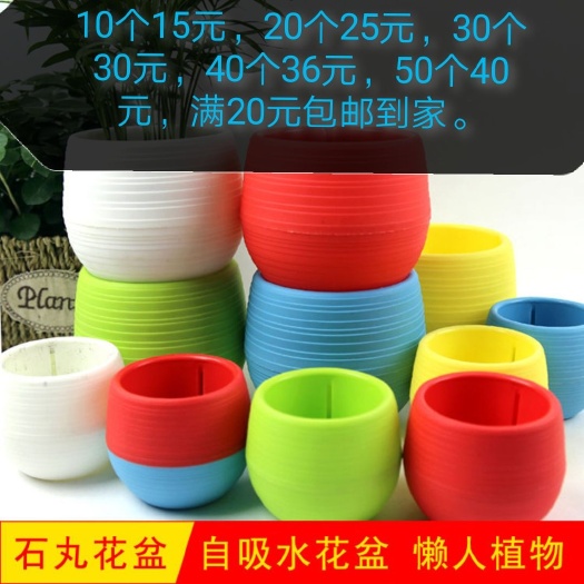 石丸彩虹塑料花盆多肉盆栽自动储水吸水懒人圆形生石花彩色花盆