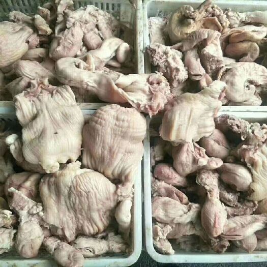 阳信县牛宽肠  熟牛小货，牛胎盘