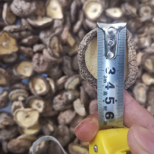 滕州市 精品香菇干货金钱菇花菇尺2-4.5cm包邮
